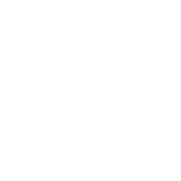 Root Canals